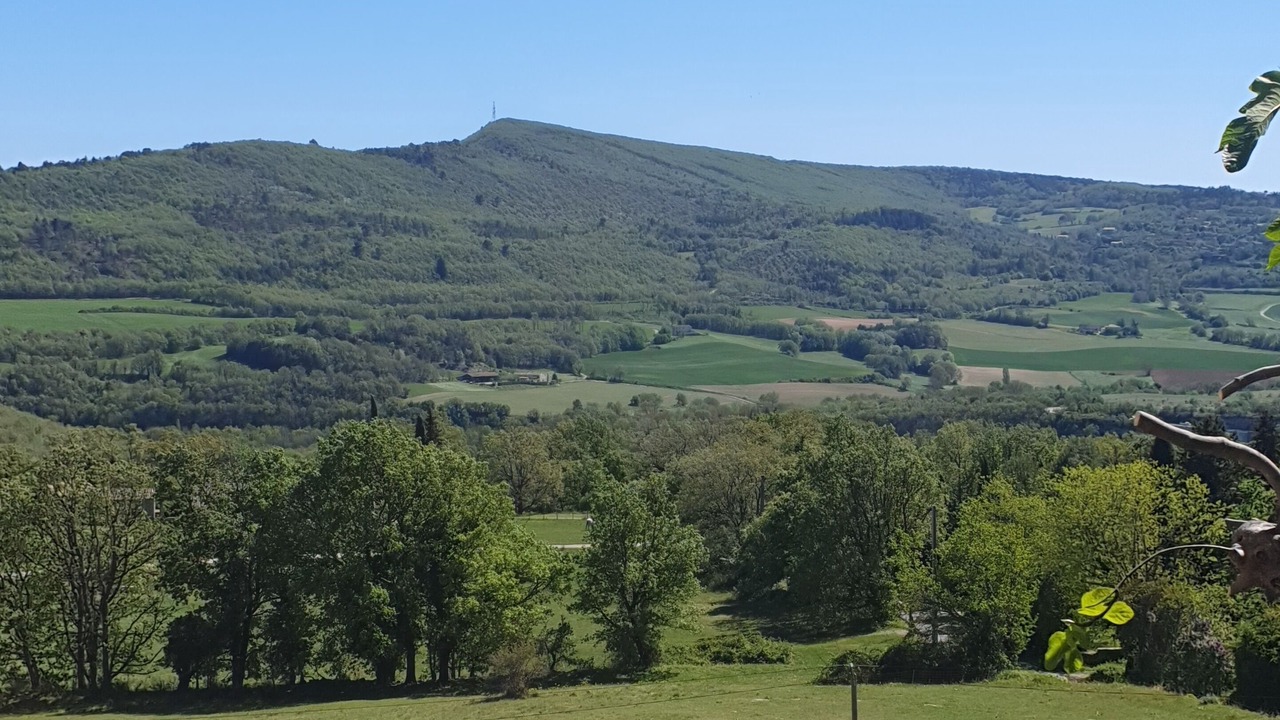 Photo of Others in Saint-Michel-l'Observatoire