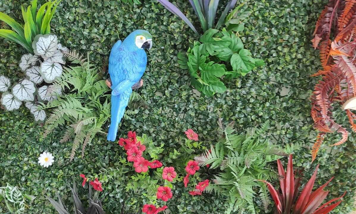 Photo of Outdoor in Saint-Michel-l'Observatoire