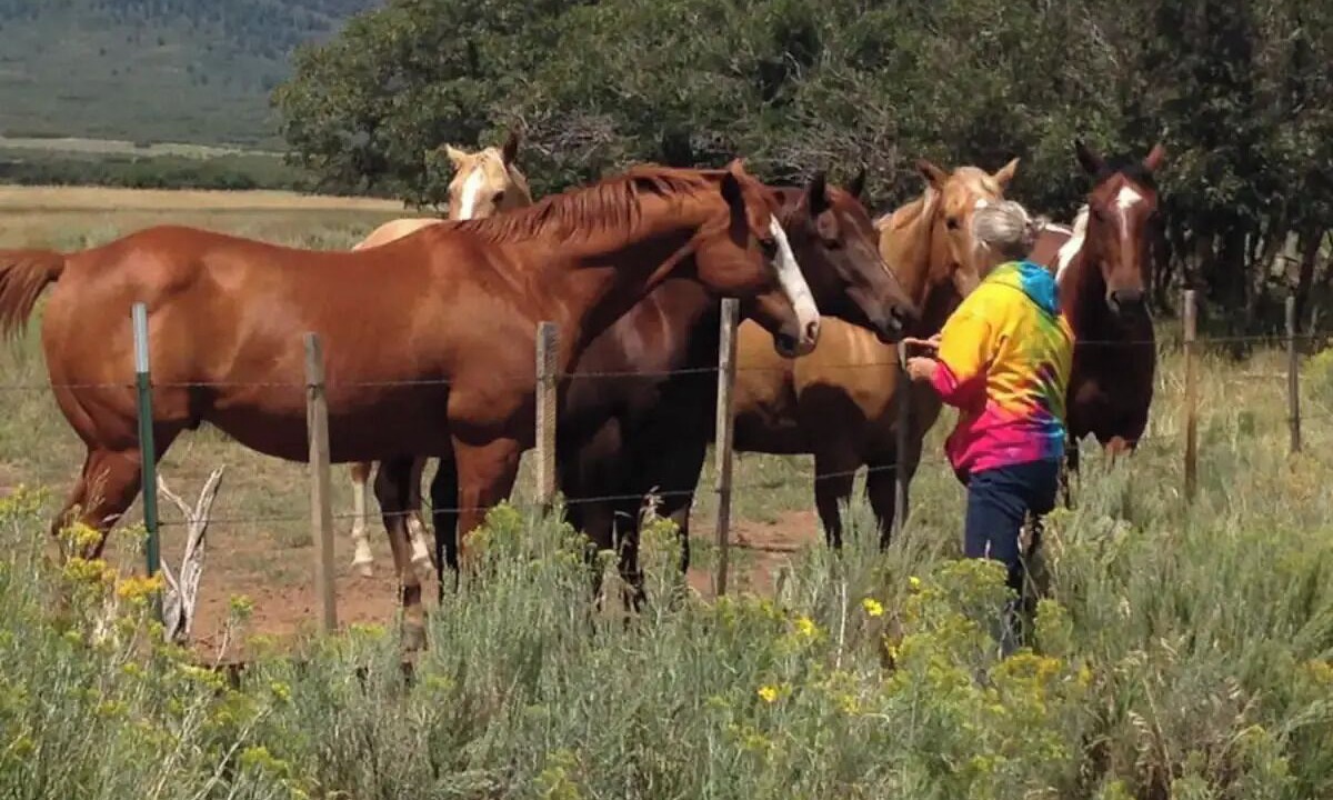 Photo of Outdoor in La Sal