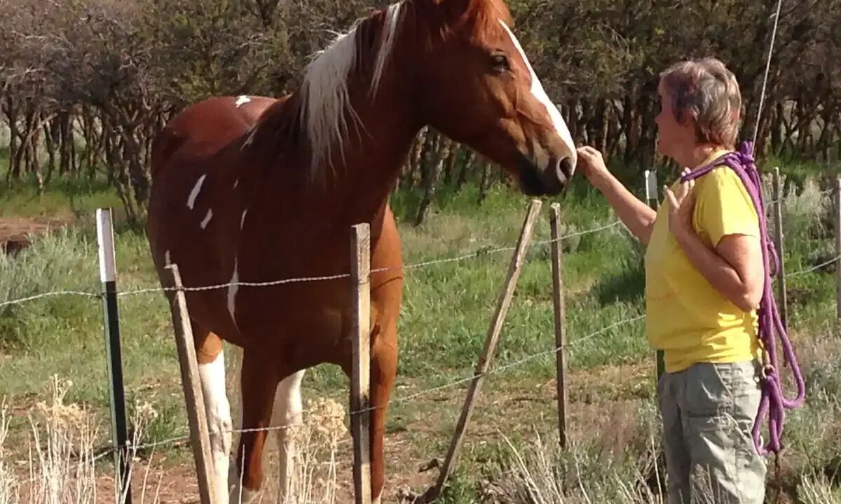 Photo of Others in La Sal