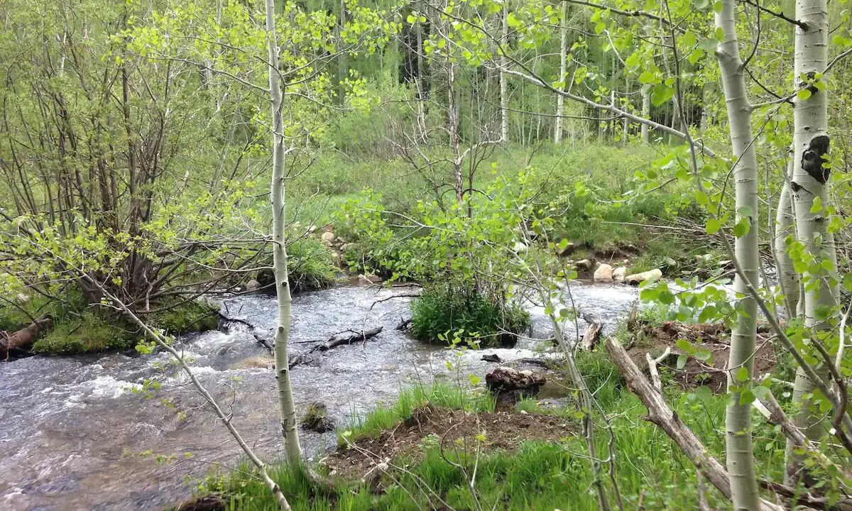 Photo of Outdoor in La Sal