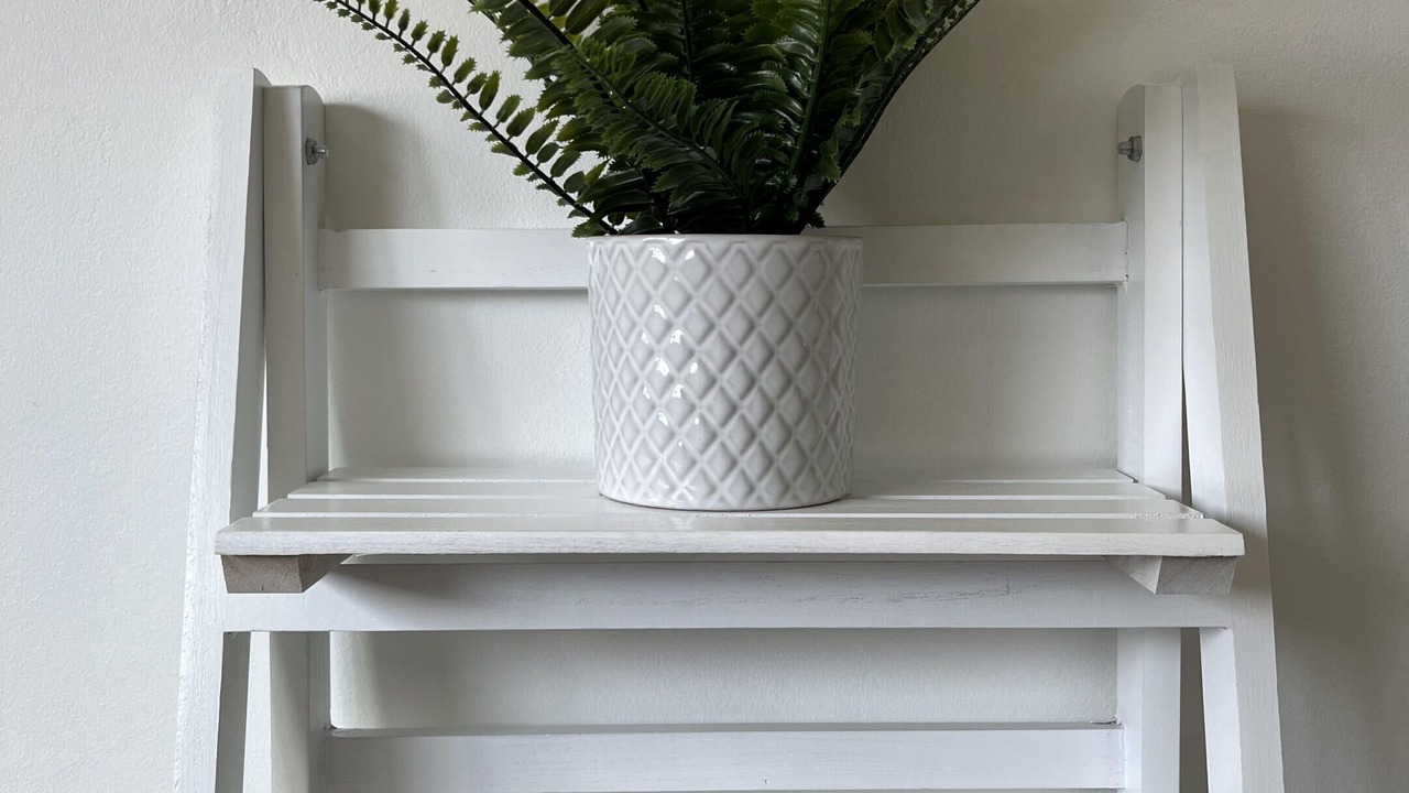 Photo of Others in Willingham