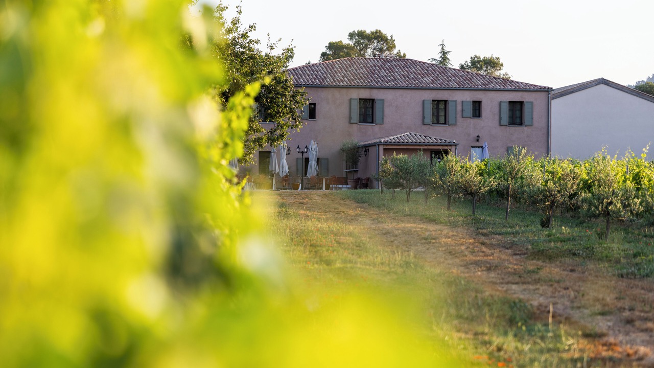 Photo of Outdoor in La Roquebrussanne