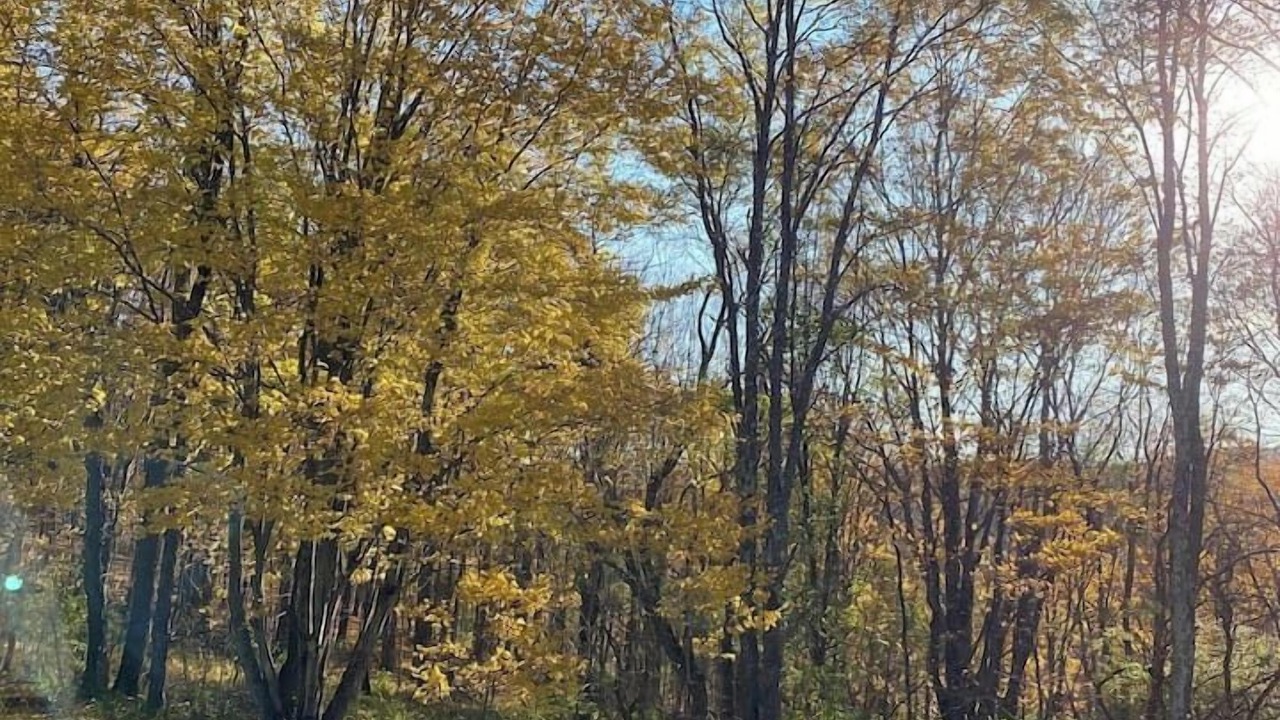 Photo of Outdoor in Denver