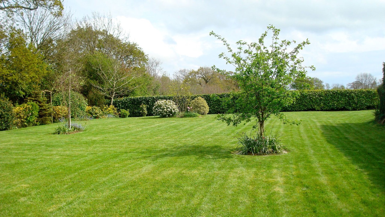 Photo of Outdoor in Bolleville