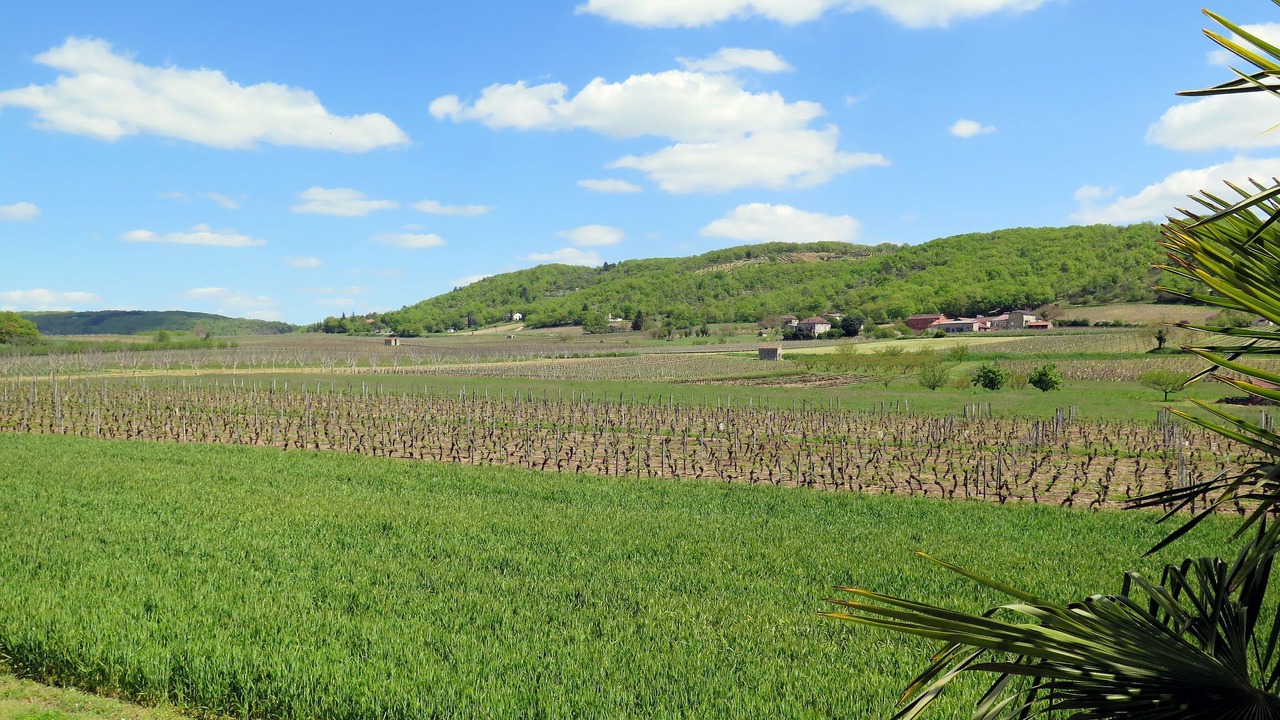 Photo of Others in Albas