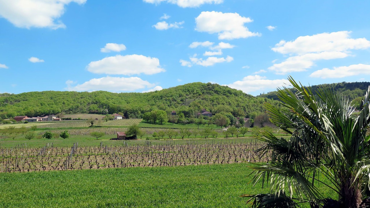 Photo of Outdoor in Albas