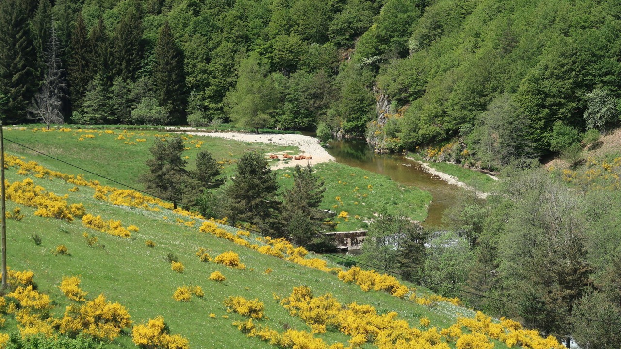 Photo of Outdoor in Usclades-et-Rieutord