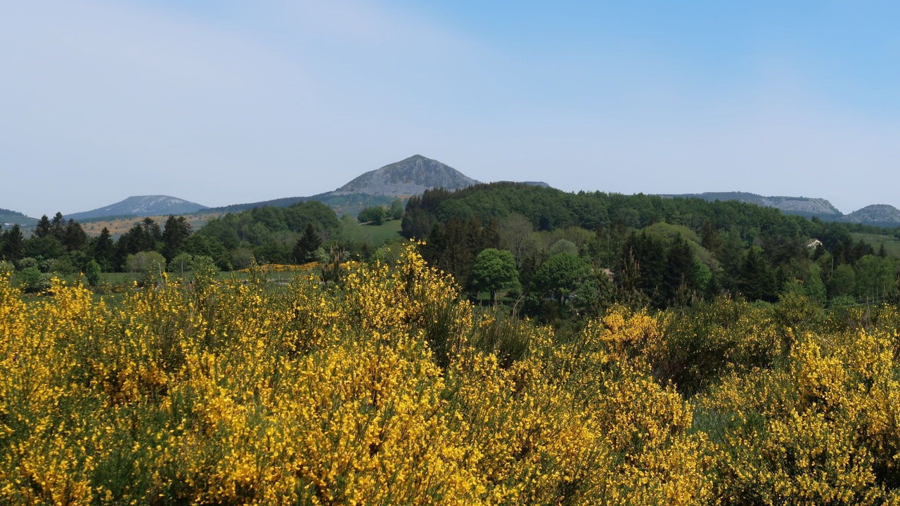 Photo of Outdoor in Usclades-et-Rieutord