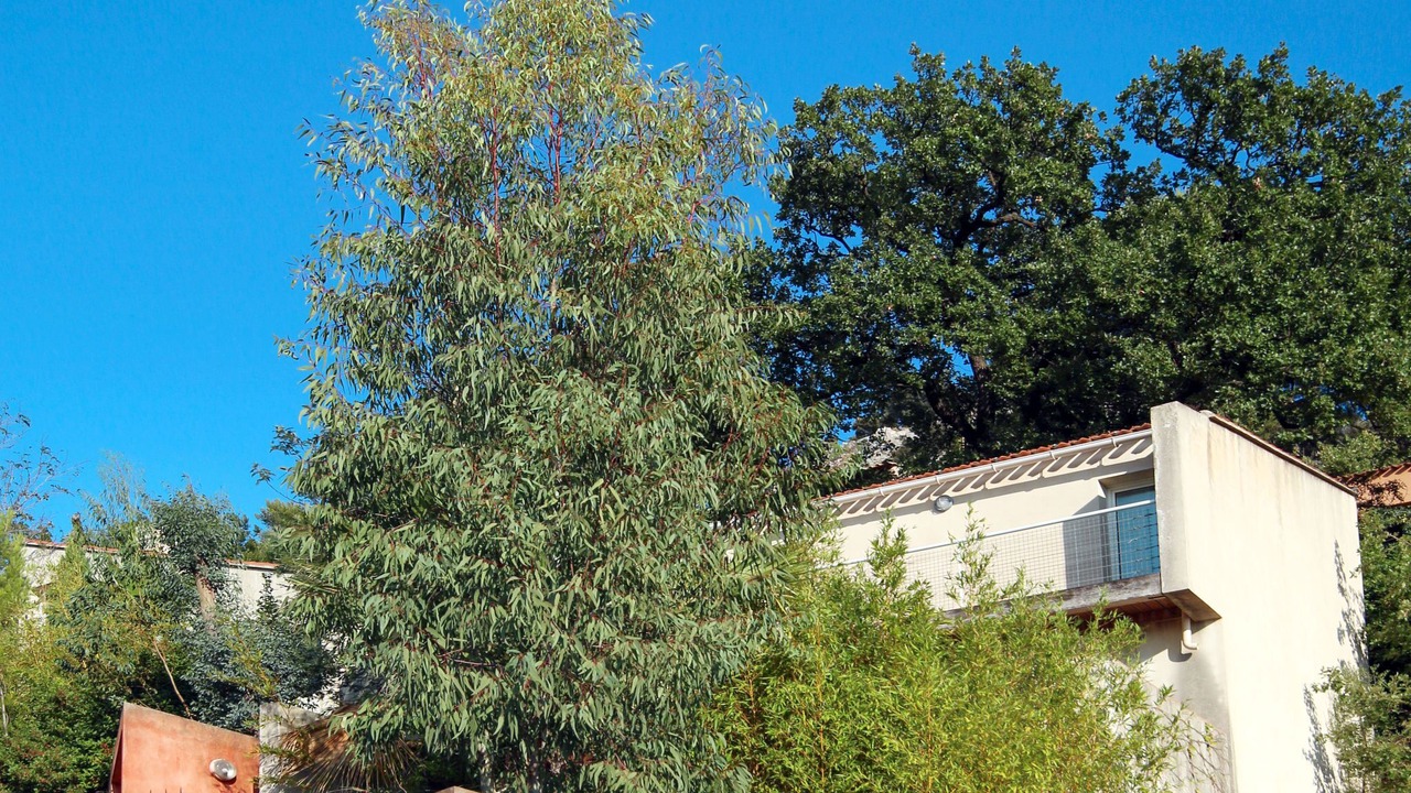 Photo of Outdoor in Hyeres City Centre