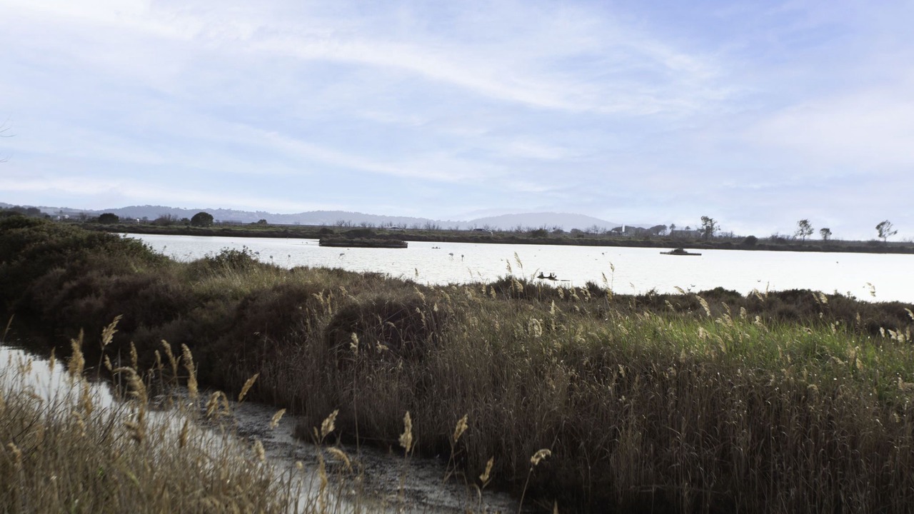 Photo of Outdoor in Hyeres City Centre