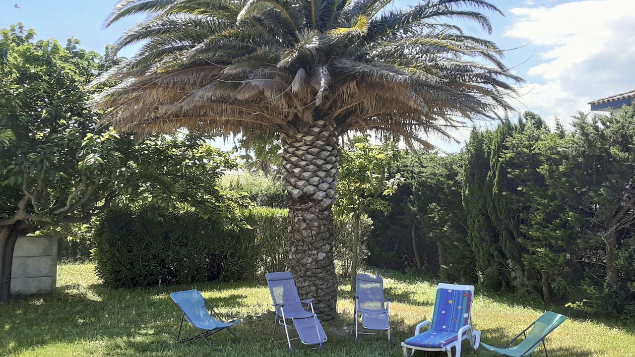 Photo of Outdoor in Pollestres