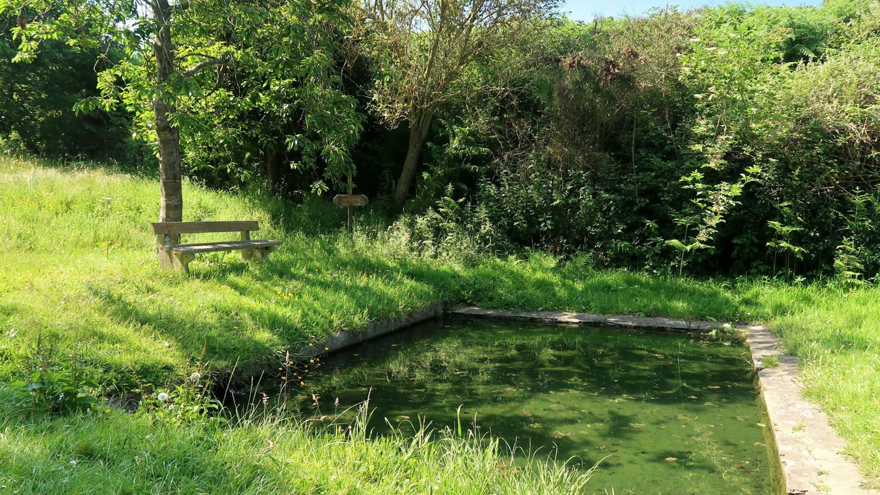 Photo of Outdoor in Plouha