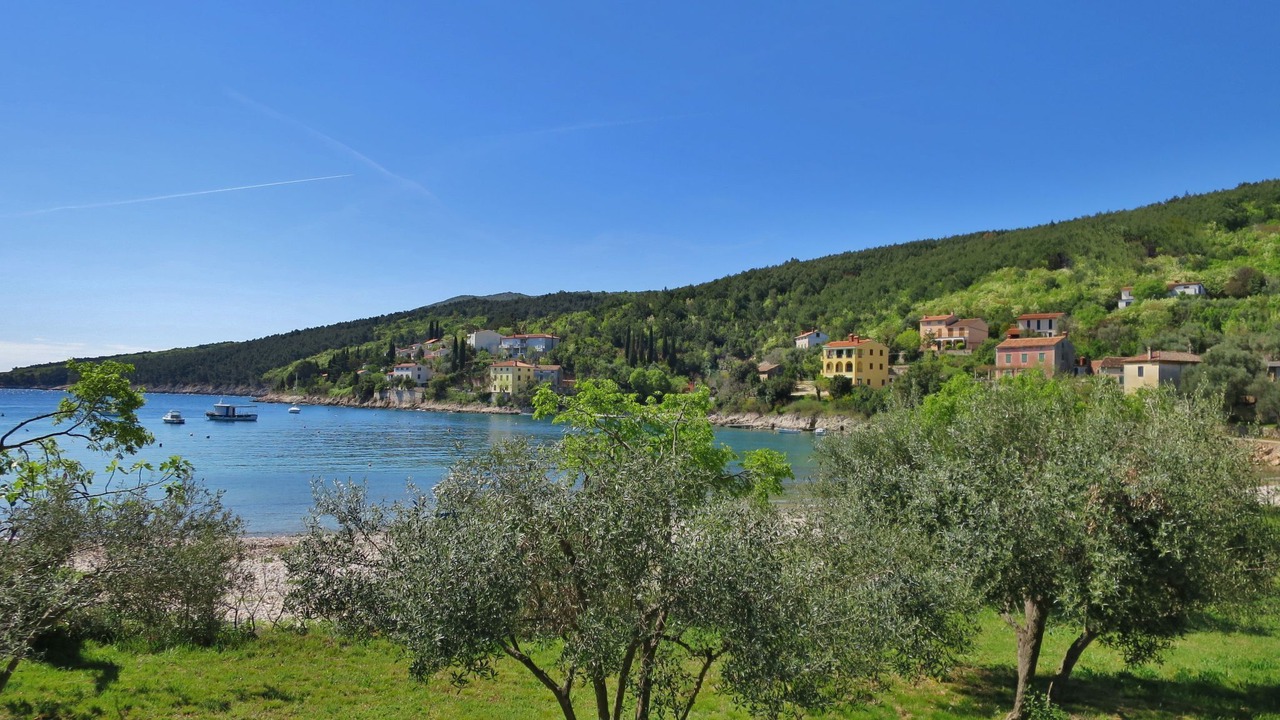 Photo of Others in Nedescina