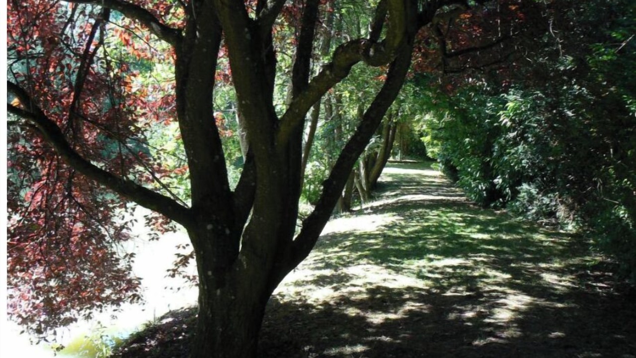 Photo of Outdoor in Sampigny