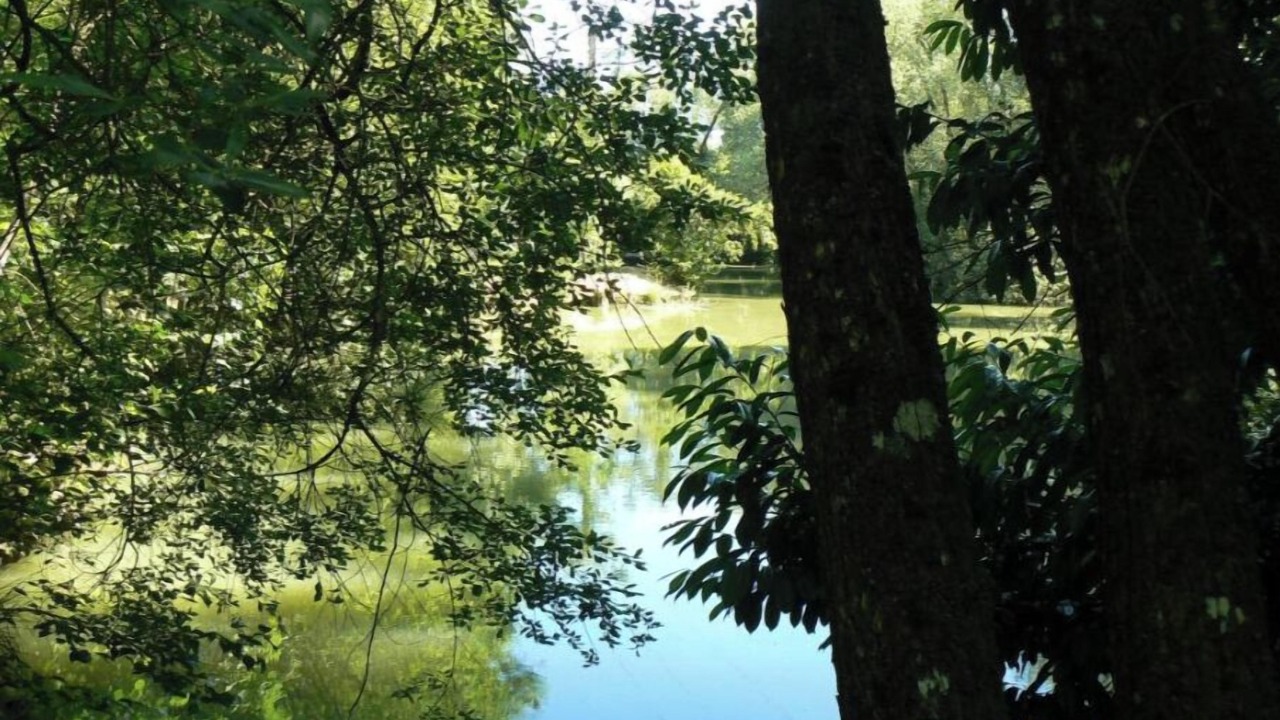 Photo of Others in Sampigny