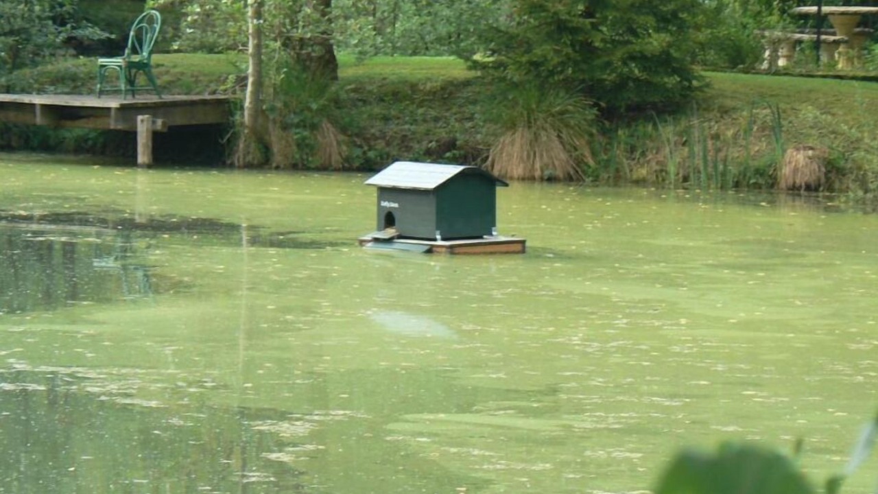 Photo of Others in Sampigny