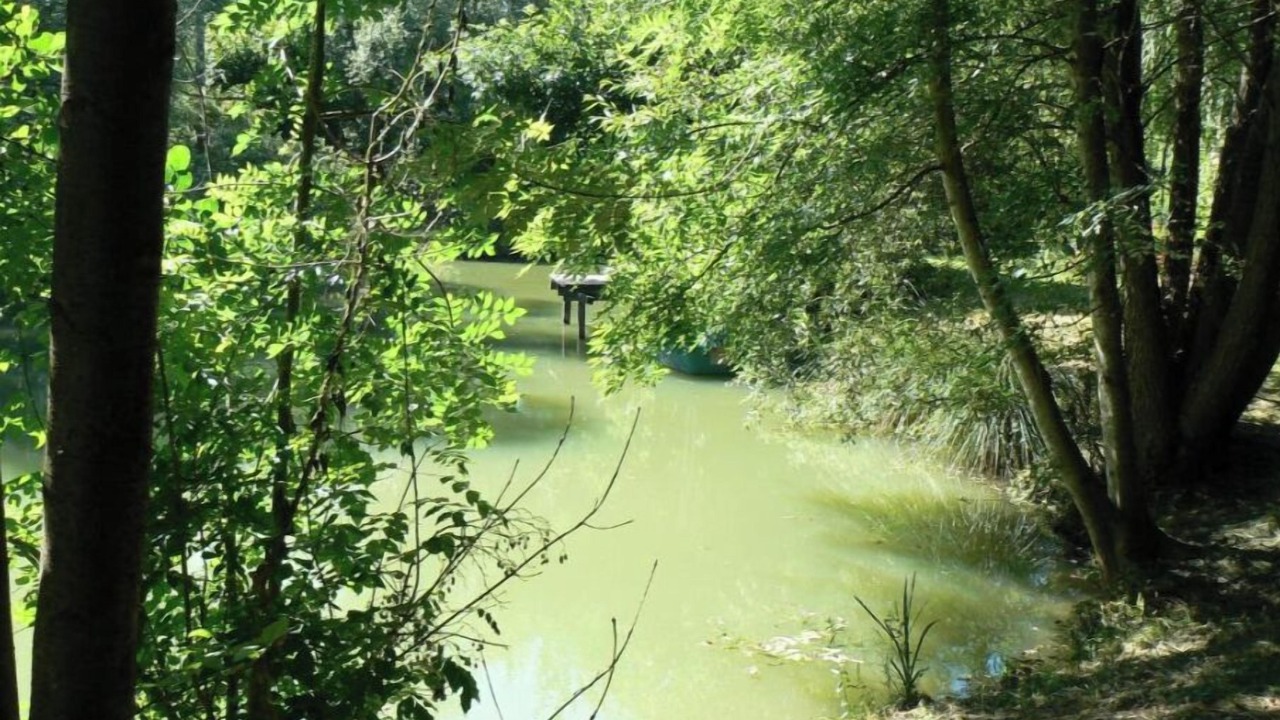 Photo of Others in Sampigny