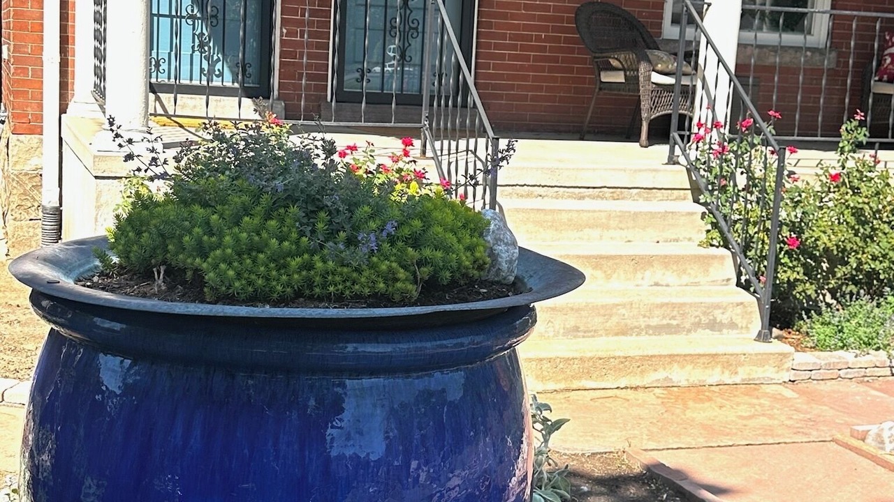 Photo of Outdoor in Washington Park West
