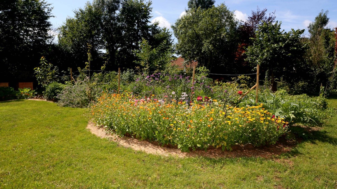 Photo of Outdoor in Bulson
