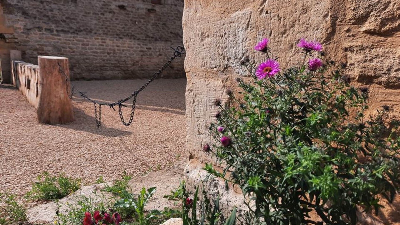Photo of Outdoor in Bulson