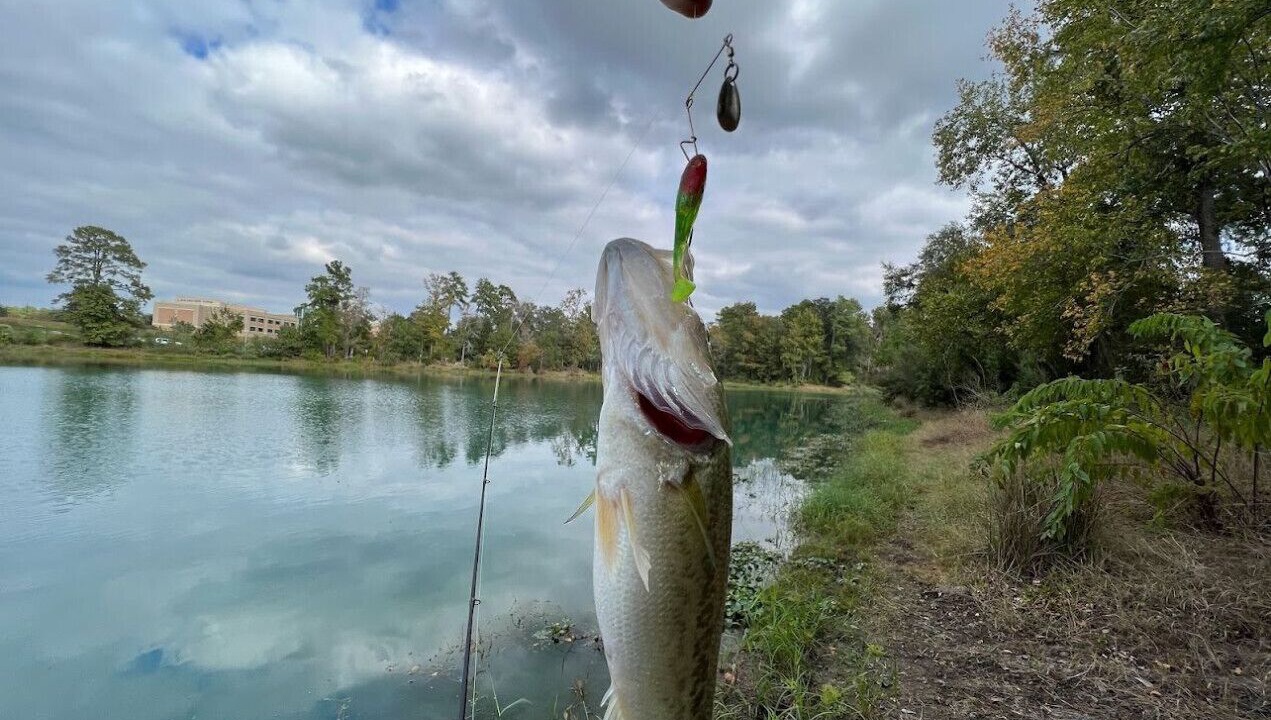 Photo of Others in Barker