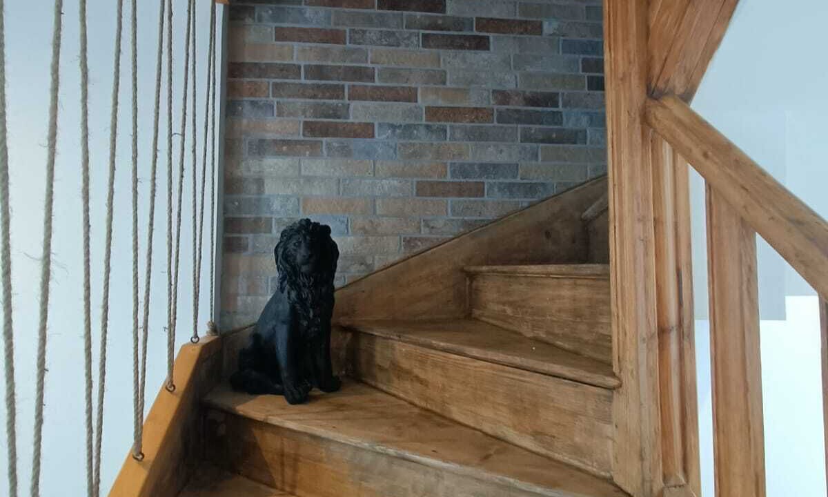 Photo of Others in Murol