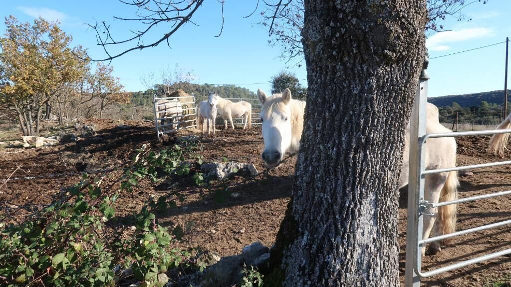 Photo of Outdoor in Ferrieres-les-Verreries
