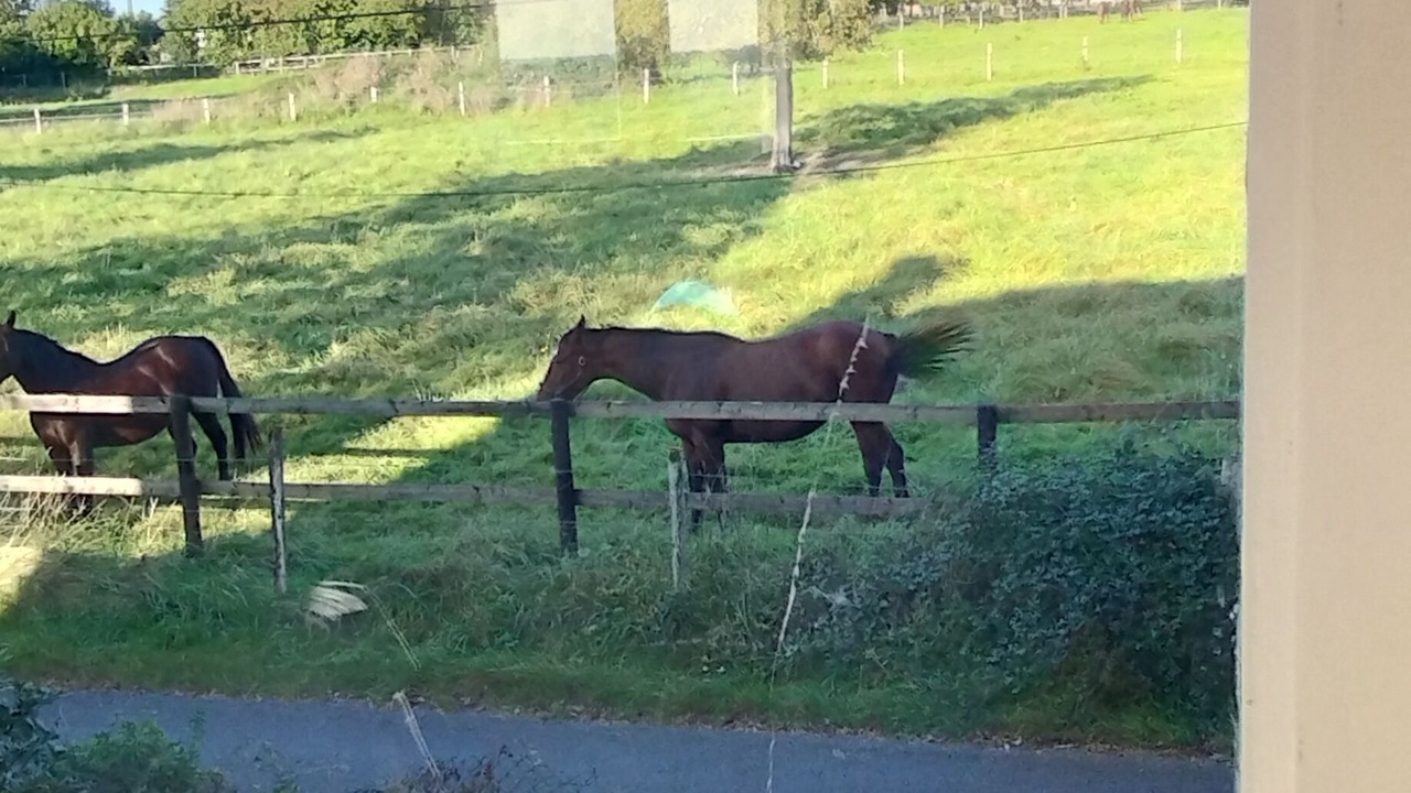 Photo of Outdoor in Glos