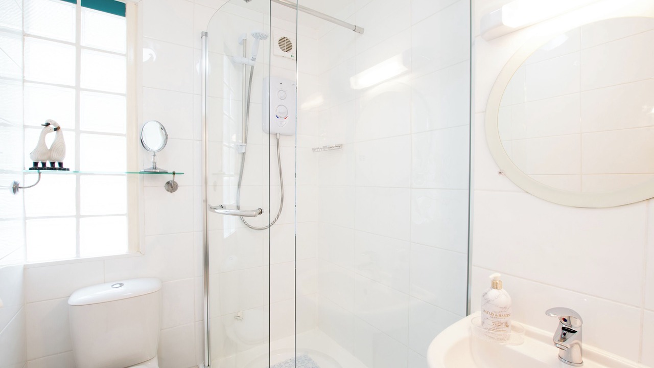 Photo of Others in Bellingham