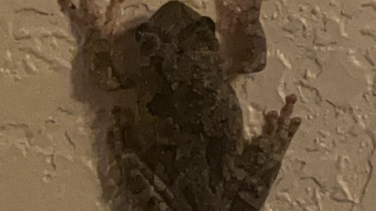Photo of Others in Park Hill