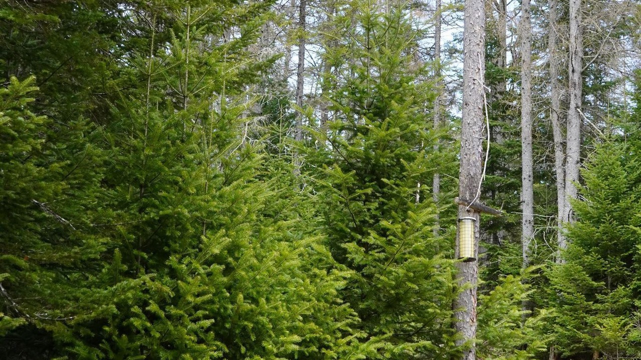 Photo of Outdoor in Notre-Dame-de-la-Merci