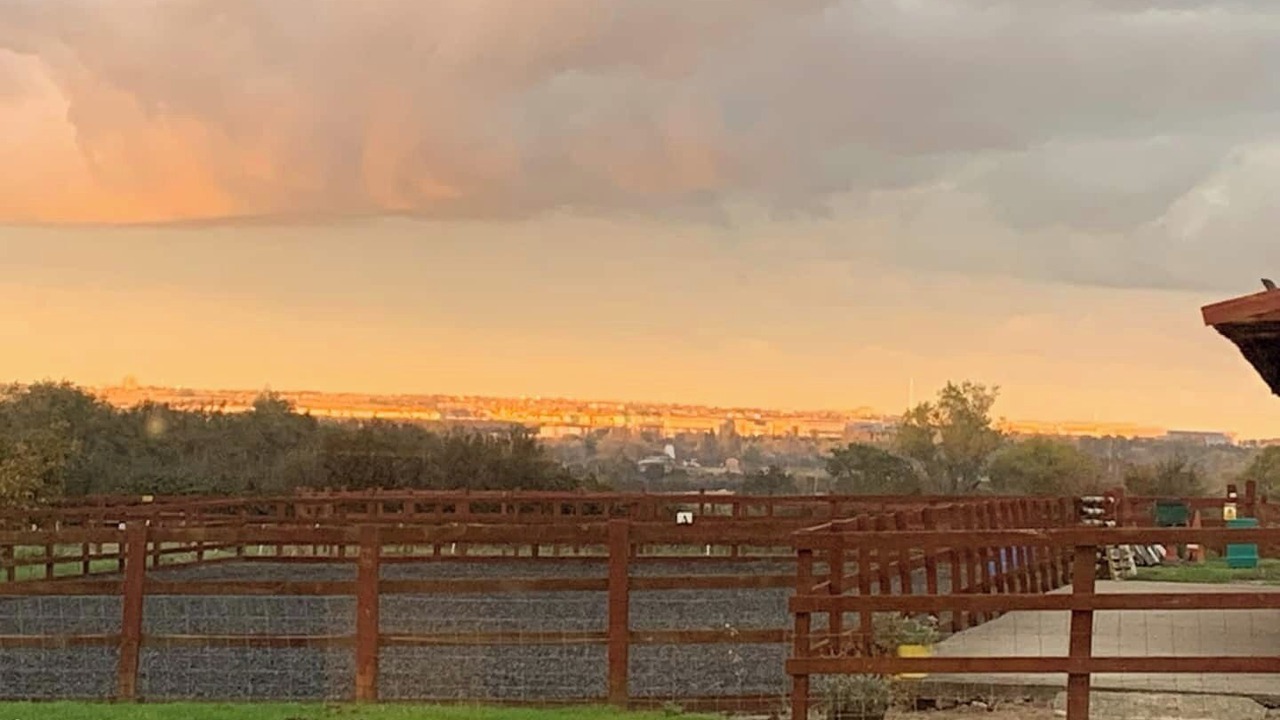 Photo of Others in Marshborough