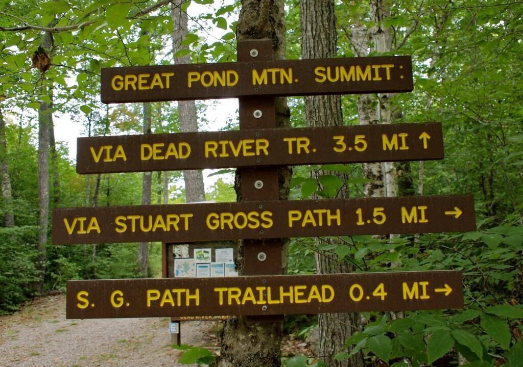 Photo of Outdoor in Orland