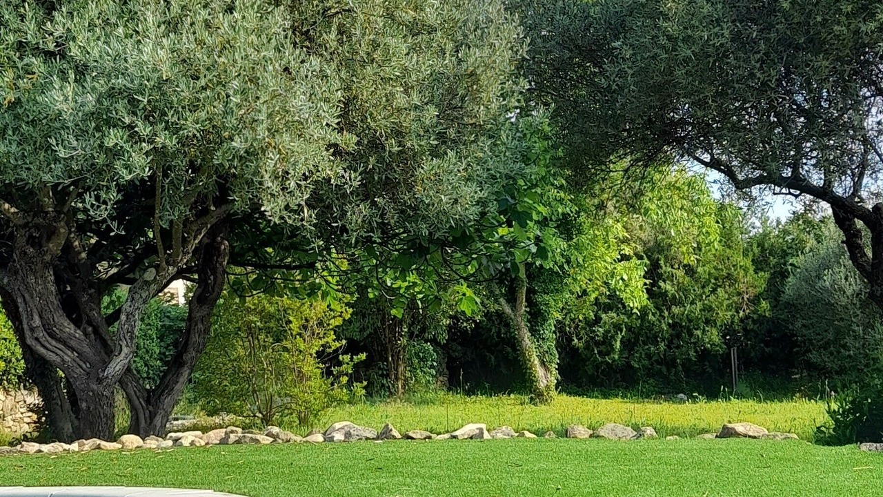 Photo of Outdoor in Saint-Mamert-du-Gard
