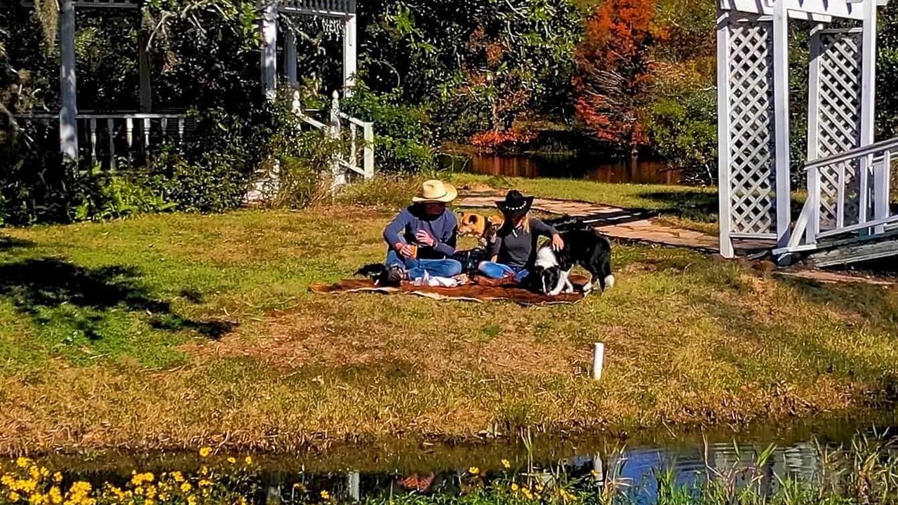 Photo of Outdoor in Cat Spring