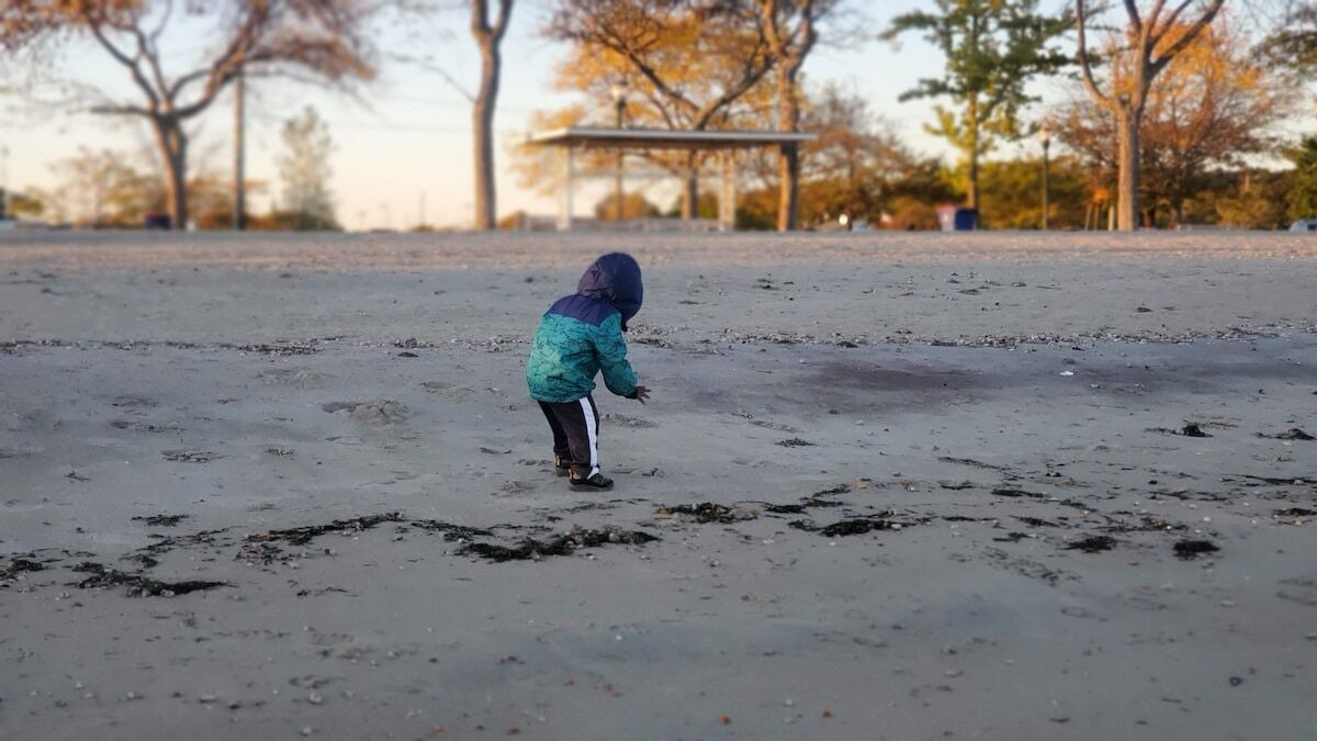 Photo of Others in Cove - East Side - Shippan