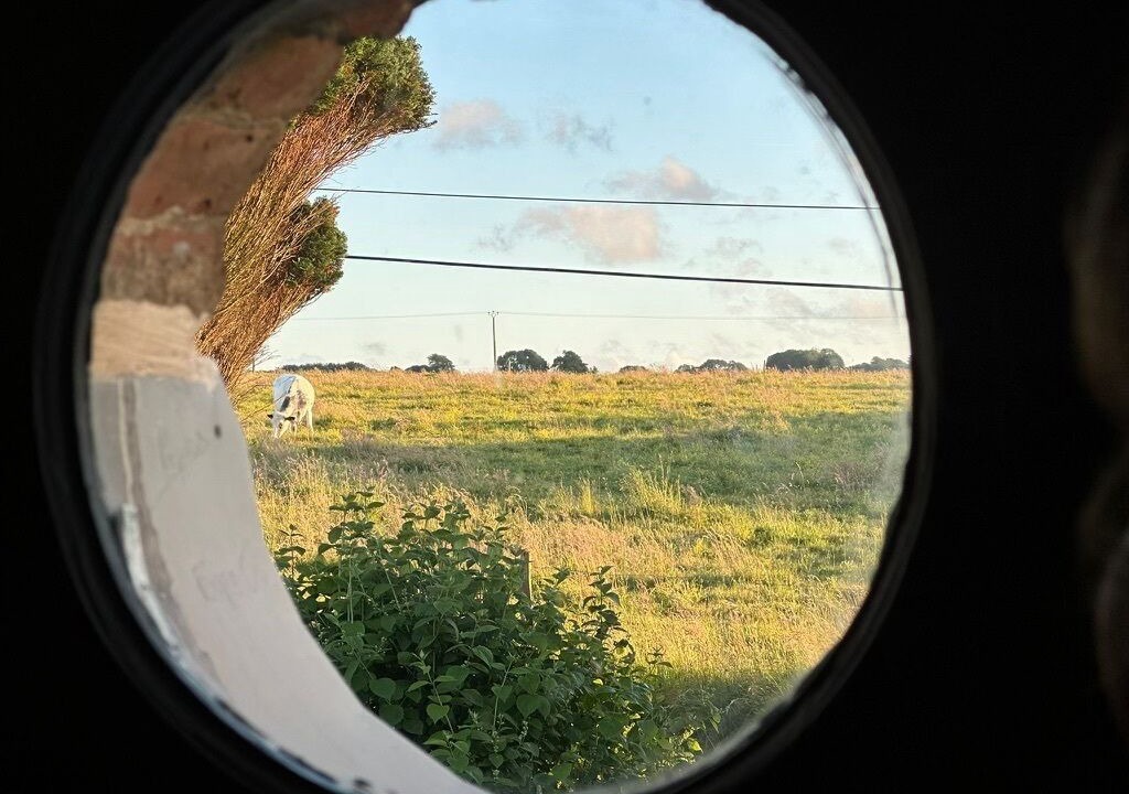 Photo of Others in Beaurepaire