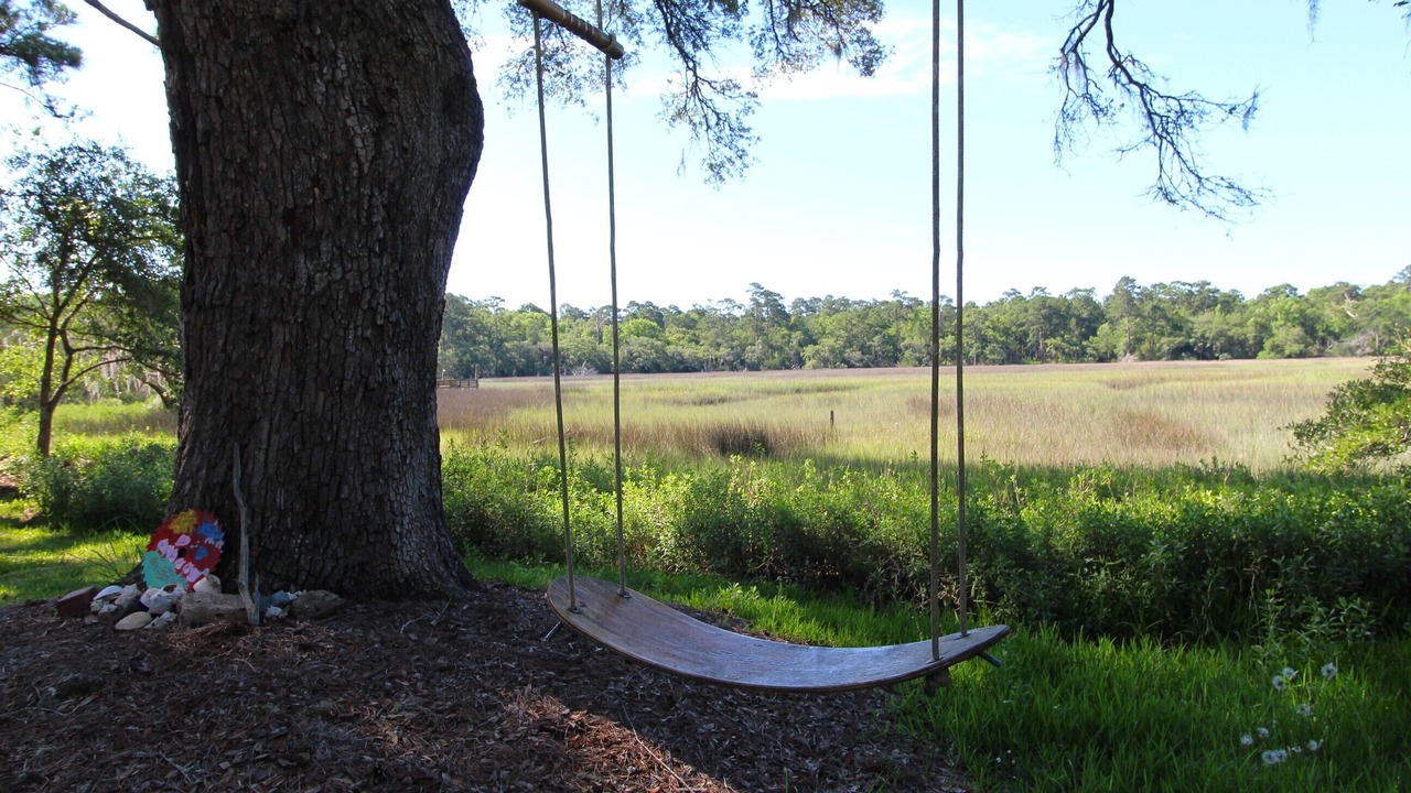 Photo of Outdoor in Edisto Island