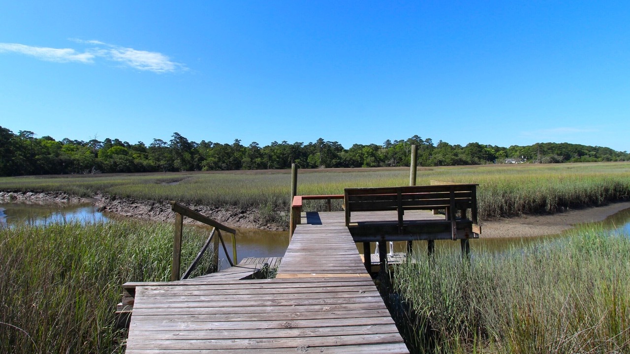 Photo of Outdoor in Edisto Island