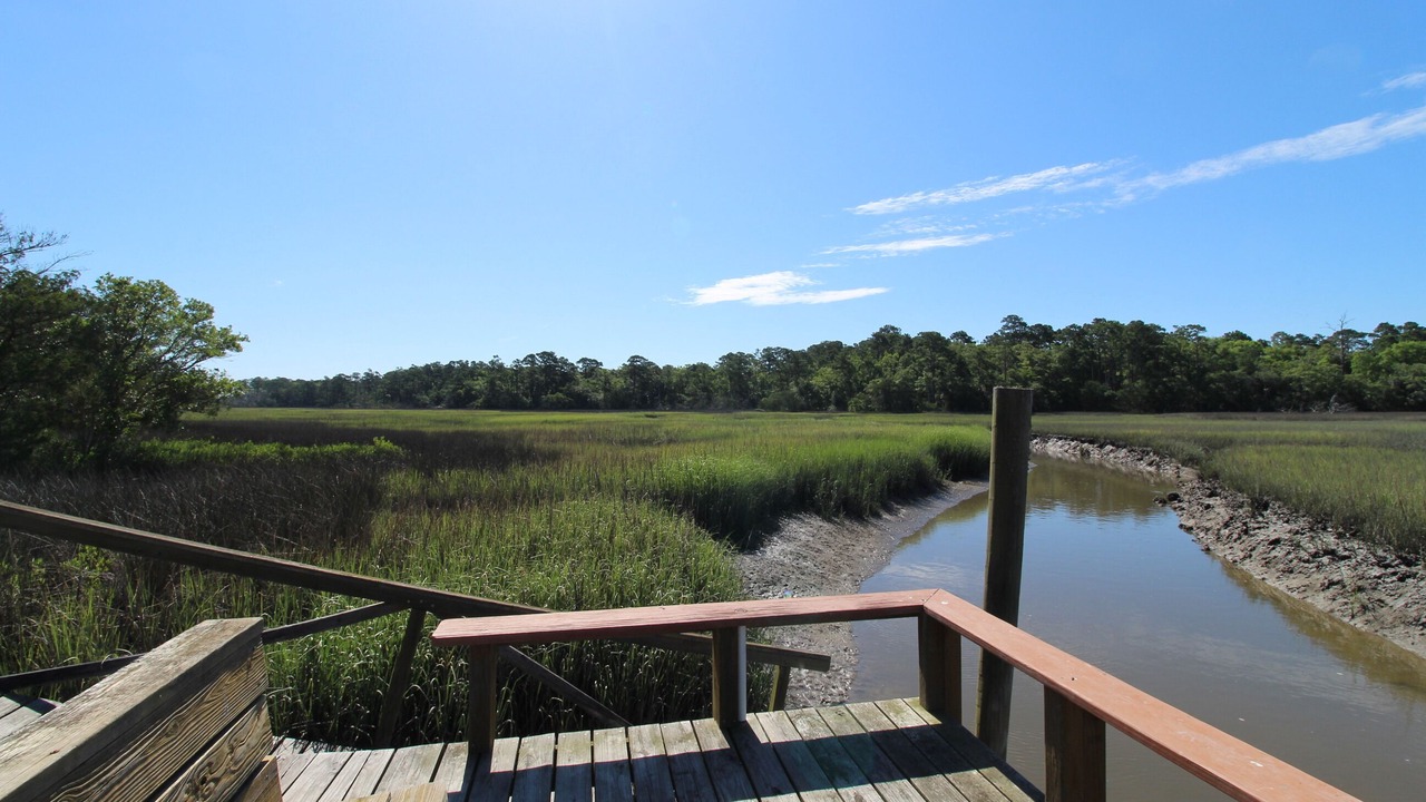 Photo of Outdoor in Edisto Island