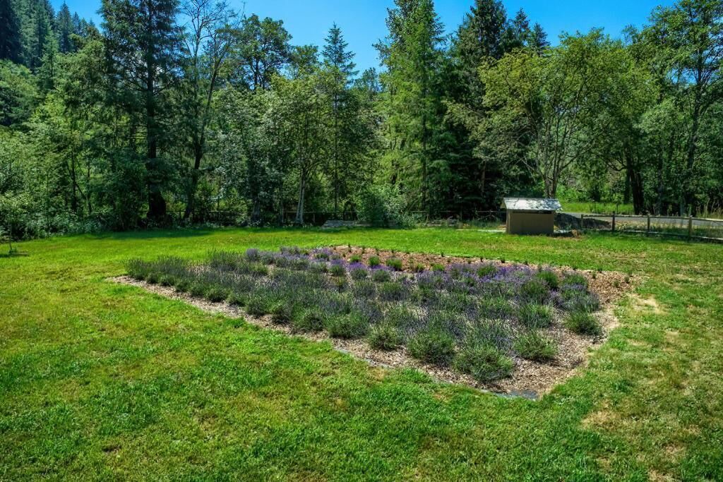 Photo of Outdoor in Washougal