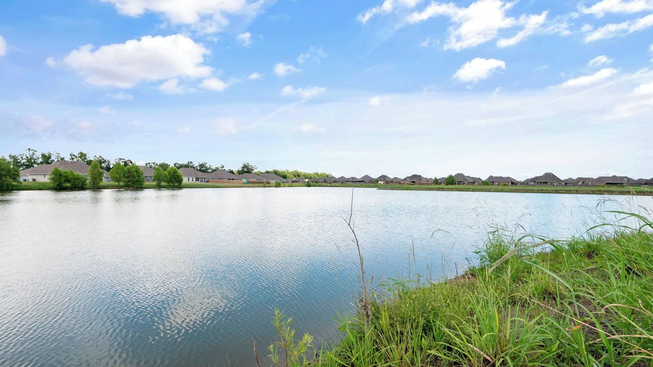 Photo of Outdoor in Sunshine