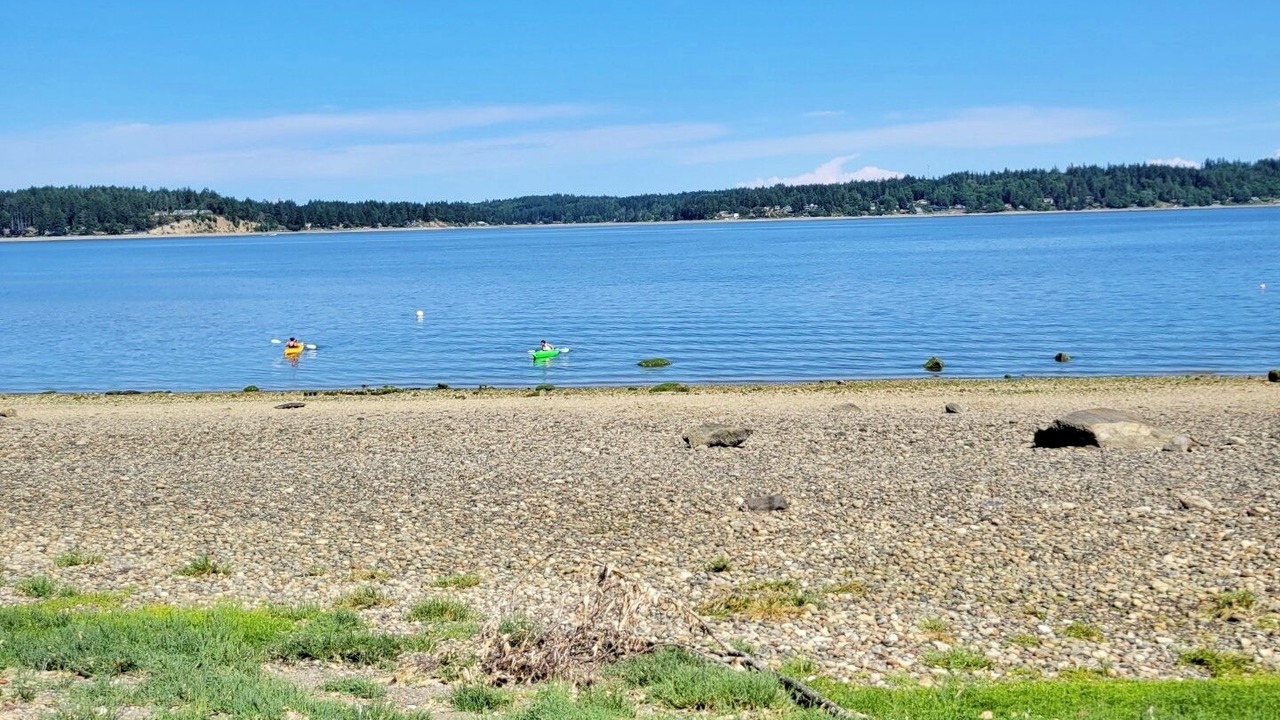 Photo of Others in Burley