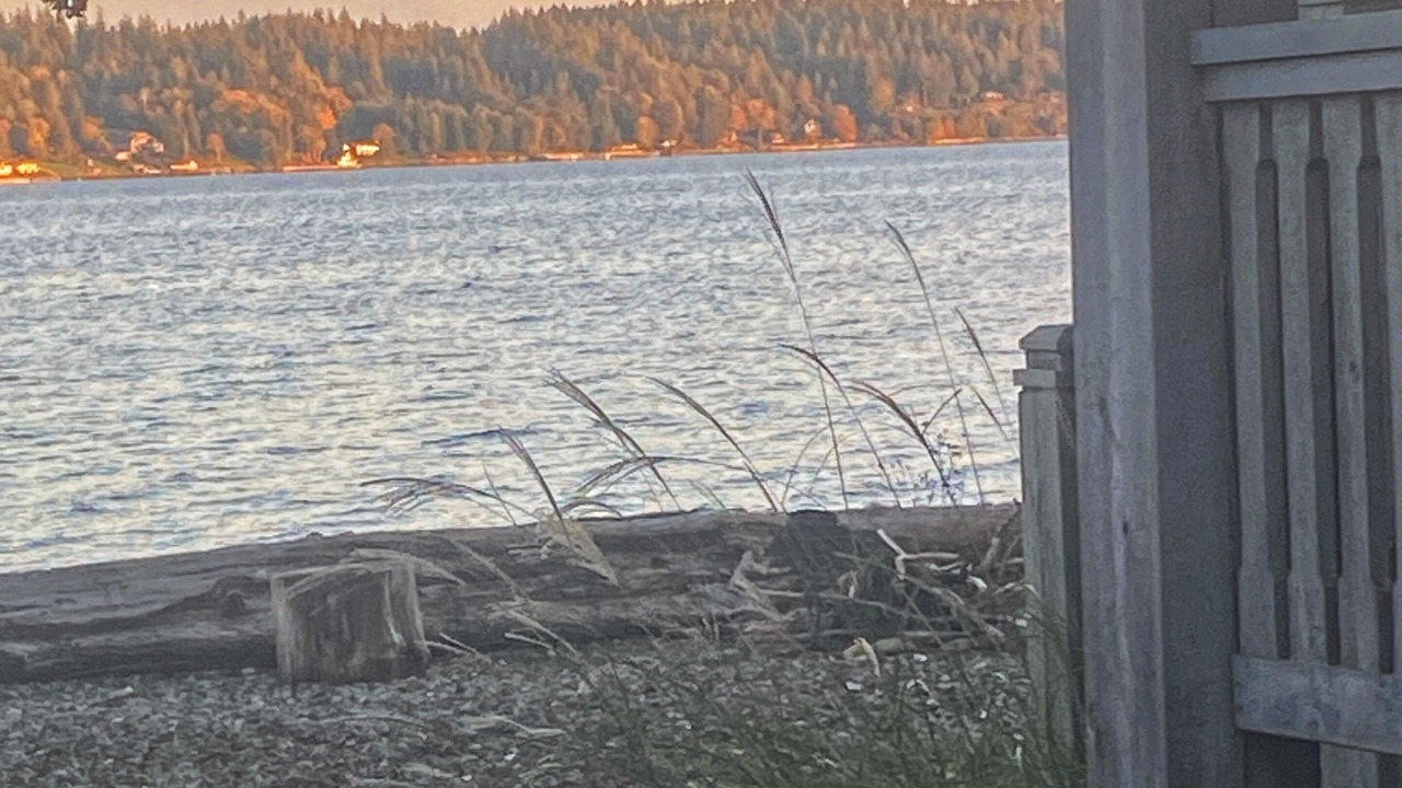 Photo of Outdoor in Burley