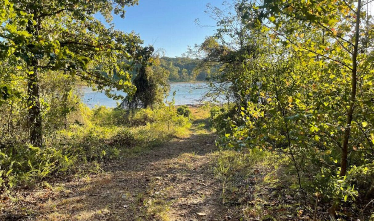 Photo of Outdoor in Edgemont