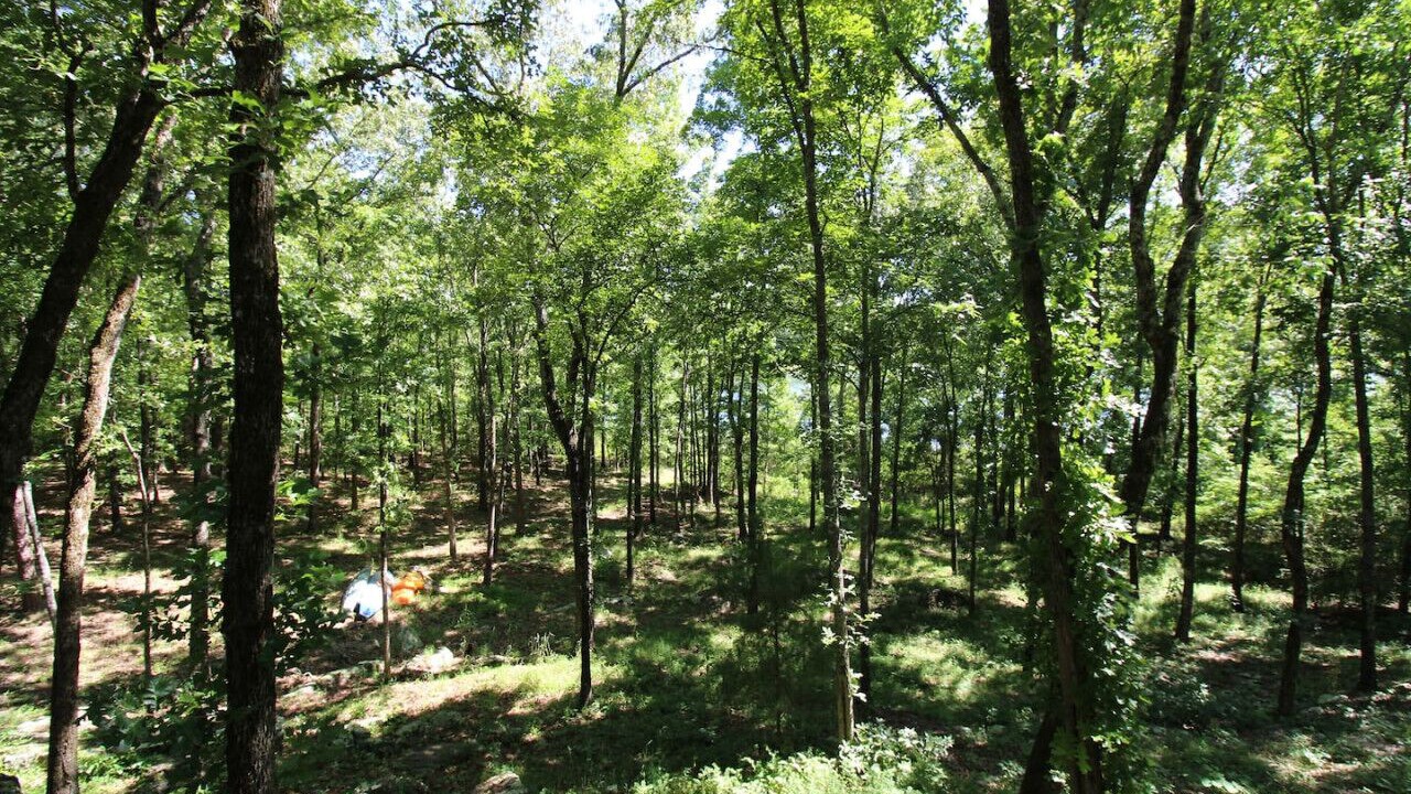 Photo of Outdoor in Edgemont