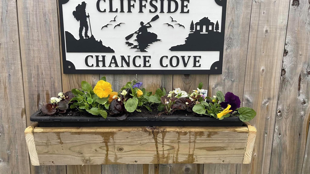 Photo of Others in Chance Cove