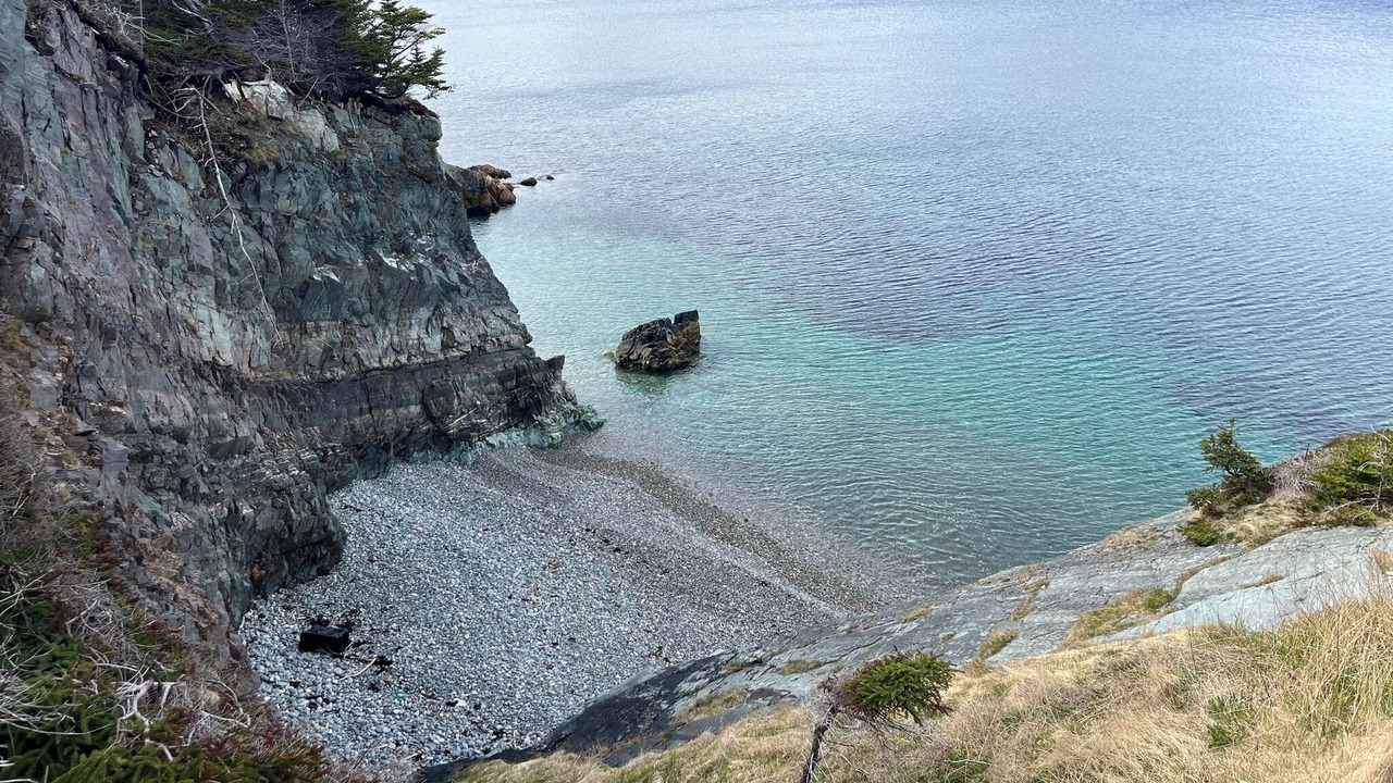 Photo of Others in Chance Cove