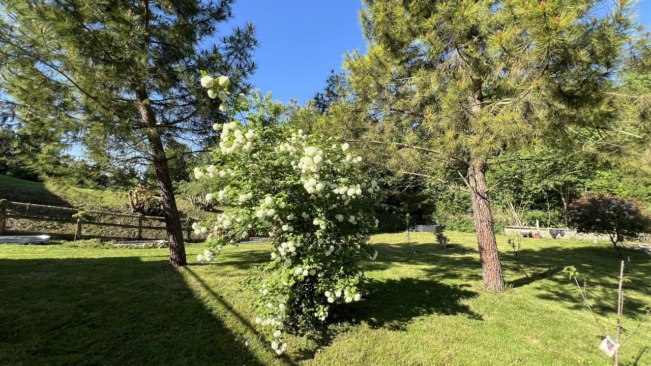 Photo of Outdoor in Morancez